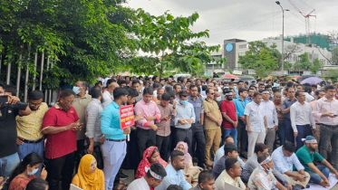 ‘শাটডাউনে’ স্থবির এনবিআর