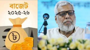 এবারের বাজেটকে ব্যতিক্রমী বললেন বিদ্যুৎ উপদেষ্টা