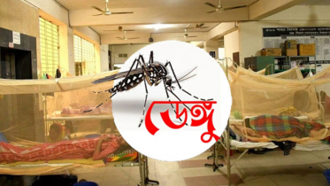 ডেঙ্গুতে একদিনে আরও ২ জনের মৃত্যু