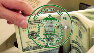 ২৮ দিনে রেমিট্যান্স এসেছে আড়াই বিলিয়ন ডলার 