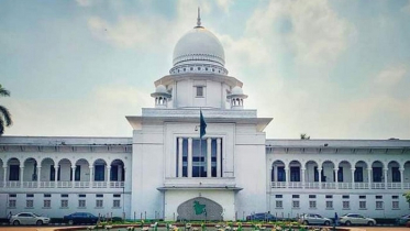 ডেঙ্গু নিয়ন্ত্রণে কার্যকর পদক্ষেপ নিতে হাইকোর্টের নির্দেশ