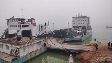 দৌলতদিয়া-পাটুরিয়ায় ঘন কুয়াশায় ফেরি চলাচল বন্ধ