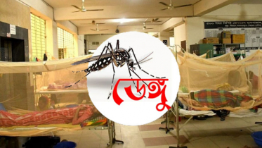 ডেঙ্গুতে আরও ২ জনের মৃত্যু, হাসপাতালে ৩৯২