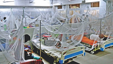 ডেঙ্গুতে ৩ জনের মৃত্যু, হাসপাতালে ভর্তি ৪৯২
