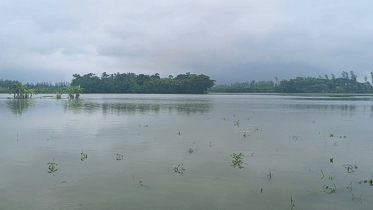 টানা বৃষ্টিতে ২১ জেলায় ৭২ হাজার হেক্টর জমির ফসল তলিয়ে গেছে