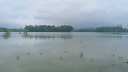 টানা বৃষ্টিতে ২১ জেলায় ৭২ হাজার হেক্টর জমির ফসল তলিয়ে গেছে