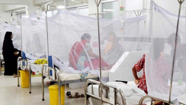 ডেঙ্গুতে ৩ জনের মৃত্যু, হাসপাতালে ভর্তি ৩৬৩