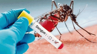 সারা দেশে ডেঙ্গুতে আরও ৭ প্রাণহানি, ভর্তি ১৭৫৩ সারা দেশে ডেঙ্গুতে আরও ৭ প্রাণহানি, ভর্তি ১৭৫৩