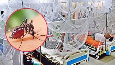 ডেঙ্গুতে একদিনে সর্বোচ্চ ৫ জনের মৃত্যু