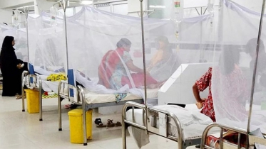 ডেঙ্গুতে আরও ২ জনের মৃত্যু, হাসপাতালে ভর্তি ৩৩০