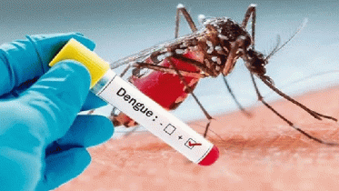 ২৪ ঘণ্টায় ডেঙ্গুতে আরও ৩ জনের মৃত্যু, হাসপাতালে ভর্তি ১২৯৯ ২৪ ঘণ্টায় ডেঙ্গুতে আরও ৩ জনের মৃত্যু, হাসপাতালে ভর্তি ১২৯৯