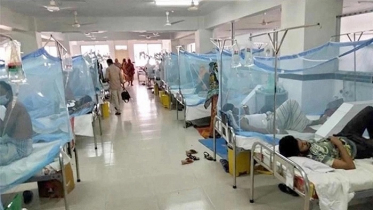 ডেঙ্গুতে আরও ৩ জনের মৃত্যু, ভর্তি ৪০৯