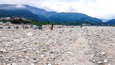 সাদা পাথর লুটের পেছনের কালো অধ্যায়