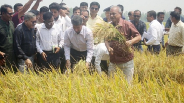 ‘ভীতির কোনও কারণ নাই, আমাদের সীমান্ত সম্পূর্ণ নিরাপদ’
