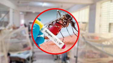 ডেঙ্গুতে একদিনে আরও ১ জনের মৃত্যু, হাসপাতালে ২৪৯
