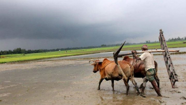 সারাদেশে দিনের তাপমাত্রা বৃদ্ধি পাবে