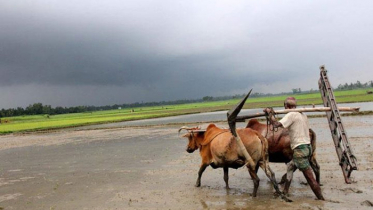 বৃষ্টির প্রবণতা কমবে