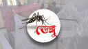 একদিনে আরও ১০৮ জন ডেঙ্গু আক্রান্ত