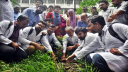 ডা. জোবাইদা রহমানের জন্মদিনে বৃক্ষরোপণ, দোয়া মাহফিল অনুষ্ঠিত