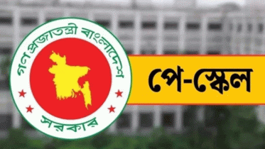 বৃহস্পতিবারের মধ্যেই হতে পারে নতুন পে-স্কেলের প্রজ্ঞাপন প্রকাশ বৃহস্পতিবারের মধ্যেই হতে পারে নতুন পে-স্কেলের প্রজ্ঞাপন প্রকাশ