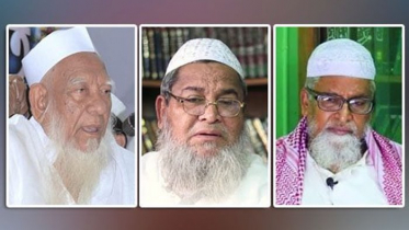 বাদ পড়লেন বাবুনগরী, শেখ আহমদ হলেন আহমদ শফীর উত্তরসূরি