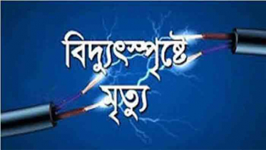 নাটোরে বিদ্যুৎস্পৃষ্টে মাছ চাষীর মৃত্যু 