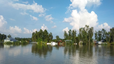 পানির নিচে সিরাজগঞ্জের ৬টি উপজেলার নিম্নাঞ্চল 