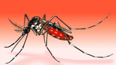 ডেঙ্গুতে সাবেক পুলিশ কর্মকর্তার মৃত্যু