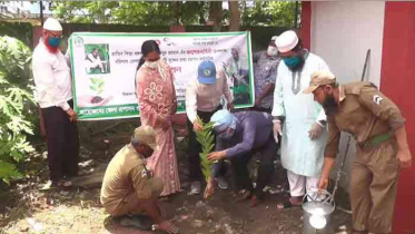 মুজিববর্ষে বরিশালে ২ লাখ বৃক্ষরোপণ শুরু