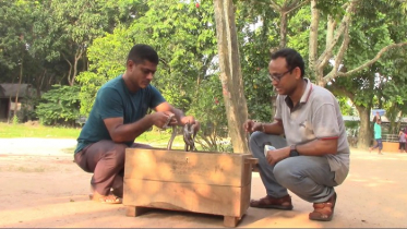 সিতেশ বাবুর সেই পোষা অজগর আবারও ডিম পেড়েছে