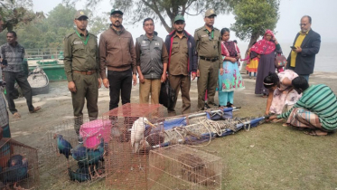 উদ্ধারকৃত কুমির-তক্ষক-পাখির ঠিকানা এখন করমজলে