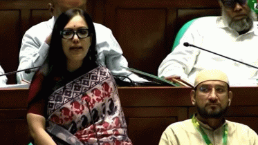 সংসদে আমাকে অকথ্য ভাষায় গালাগালি করা হয়েছে: রুমিন ফারহানা