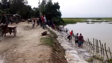 রাজবাড়ীতে বেড়িবাঁধে লিকেজ, হুমকির মুখে হাজারো পরিবার