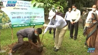 জাতির পিতার জন্মশতবার্ষিকী অর্থবহ করতে বনজ সম্পদ বৃদ্ধির আহ্বান