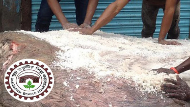 কোরবানির চামড়া সংরক্ষণে লবণ সরবরাহ করবে বিসিক