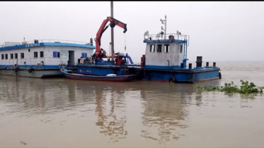 পদ্মায় পানি বৃদ্ধি অব্যাহত, দিশেহারা বানভাসিরা