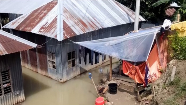 দীর্ঘস্থায়ী বন্যায় অতিষ্ঠ রাজবাড়ীর বানভাসিরা