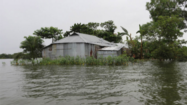 পাঁচ জেলায় বন্যা পরিস্থিতির উন্নতি