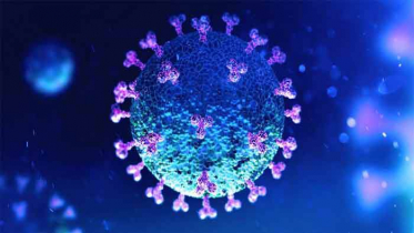 চুয়াডাঙ্গায় আরও ১৭ জনের করোনা শনাক্ত