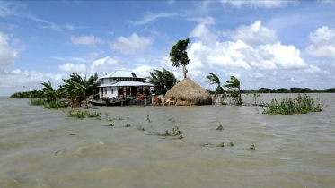 জোয়ারের পানিতে ভাসছে বাউফলের চর ও নিম্নাঞ্চল