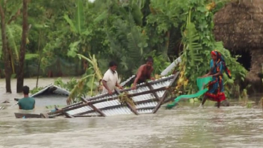 হাতিয়ায় টানা বর্ষণ ও জোয়ারে ২০ গ্রাম প্লাবিত