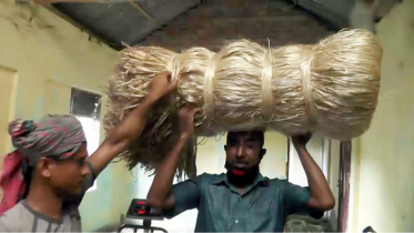 নড়াইলে পাটের ভালো দাম পেয়ে খুশি কৃষকরা