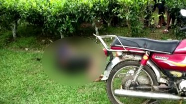 চা বাগানে মিলল নিখোঁজ কলেজ ছাত্রের লাশ