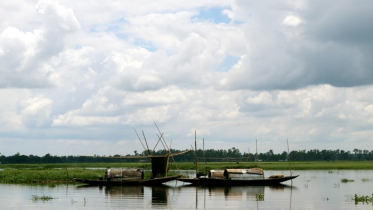 বিলুপ্তির পথে হাওরের দেশিয় প্রজাতির মাছ ও জলজ উদ্ভিদ
