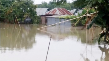 তৃতীয় দফা বন্যায় রাজবাড়ীতে সীমাহীন দুর্ভোগ 