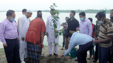 কুড়িগ্রামে পানি উন্নয়ন বোর্ডের বৃক্ষরোপণ