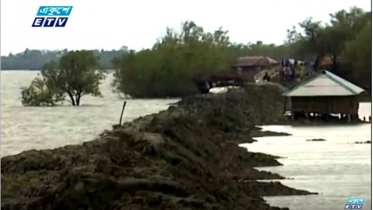 কয়রায় টানা বর্ষণে ঝুঁকিতে দুর্বল বাঁধ (ভিডিও)