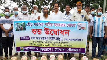 চুয়াডাঙ্গা পৌর এলাকা পাখির অভয়াশ্রম ঘোষণা 