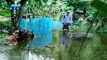 ভবদহের ৪০ গ্রামে এখনও জলাবদ্ধতা (ভিডিও)