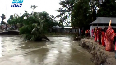 তিস্তা-গঙ্গাচড়ার ভাঙ্গনে দিশেহারা মানুষ (ভিডিও)